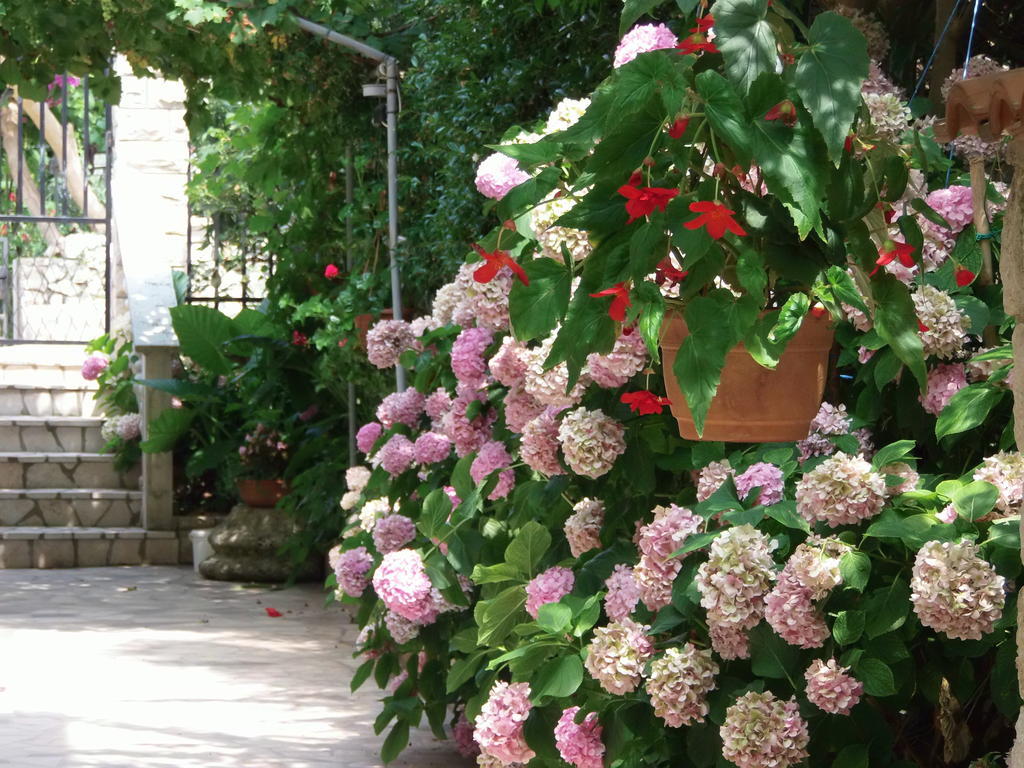 Apartments Beba Mali Lošinj Dış mekan fotoğraf