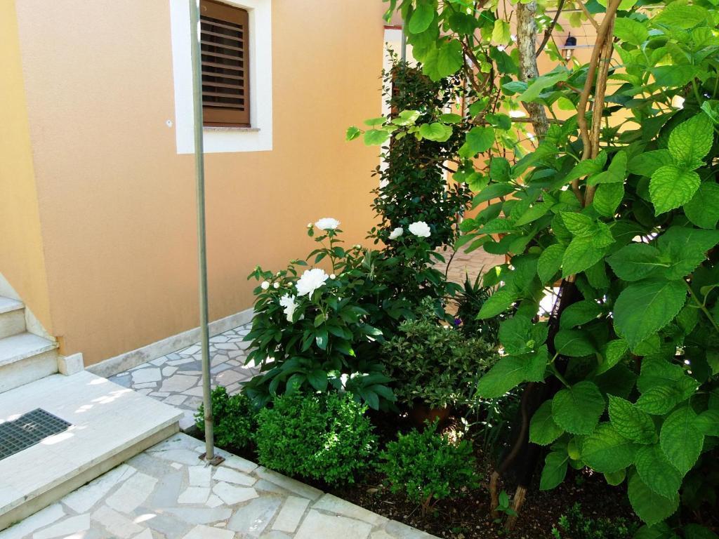 Apartments Beba Mali Lošinj Oda fotoğraf