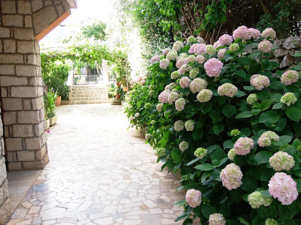 Apartments Beba Mali Lošinj Oda fotoğraf