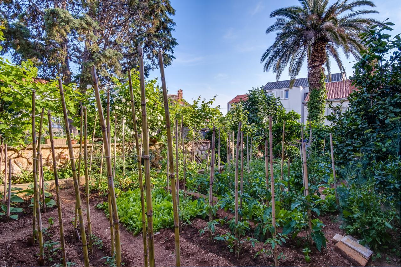 Apartments Beba Mali Lošinj Dış mekan fotoğraf